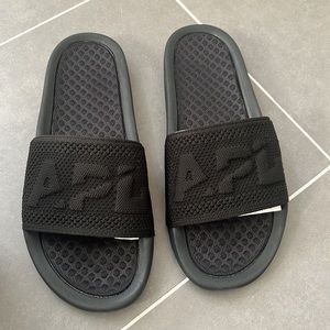 APL Big Logo Techloom Slides NWT
